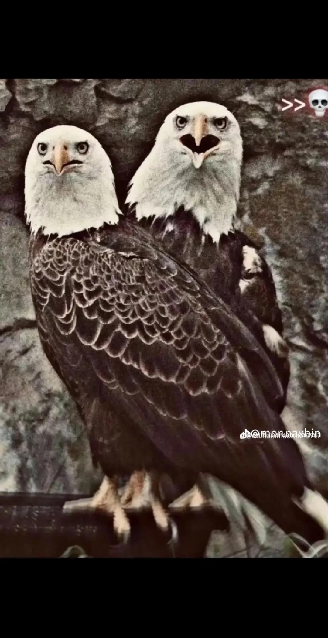 @IftikharkhanGaryala