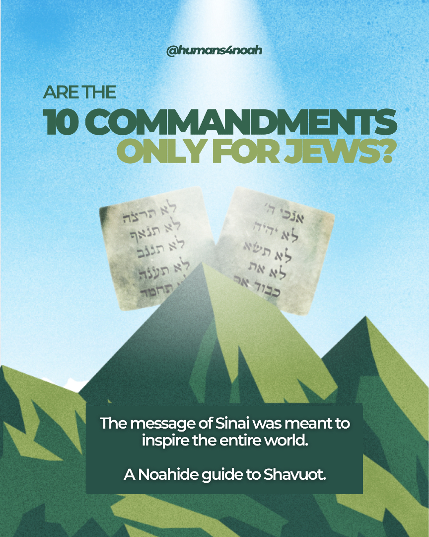 @Rabbi Raps for Humans