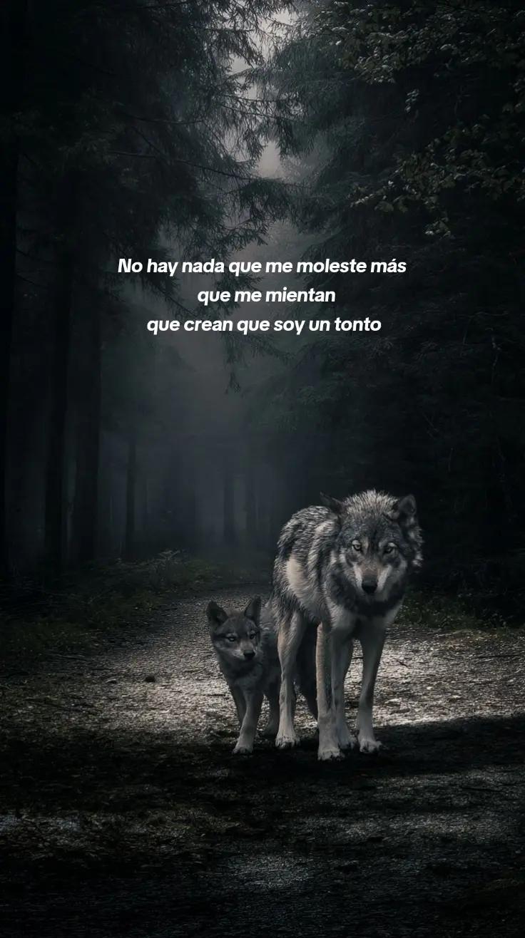 @Mois&eacute;s