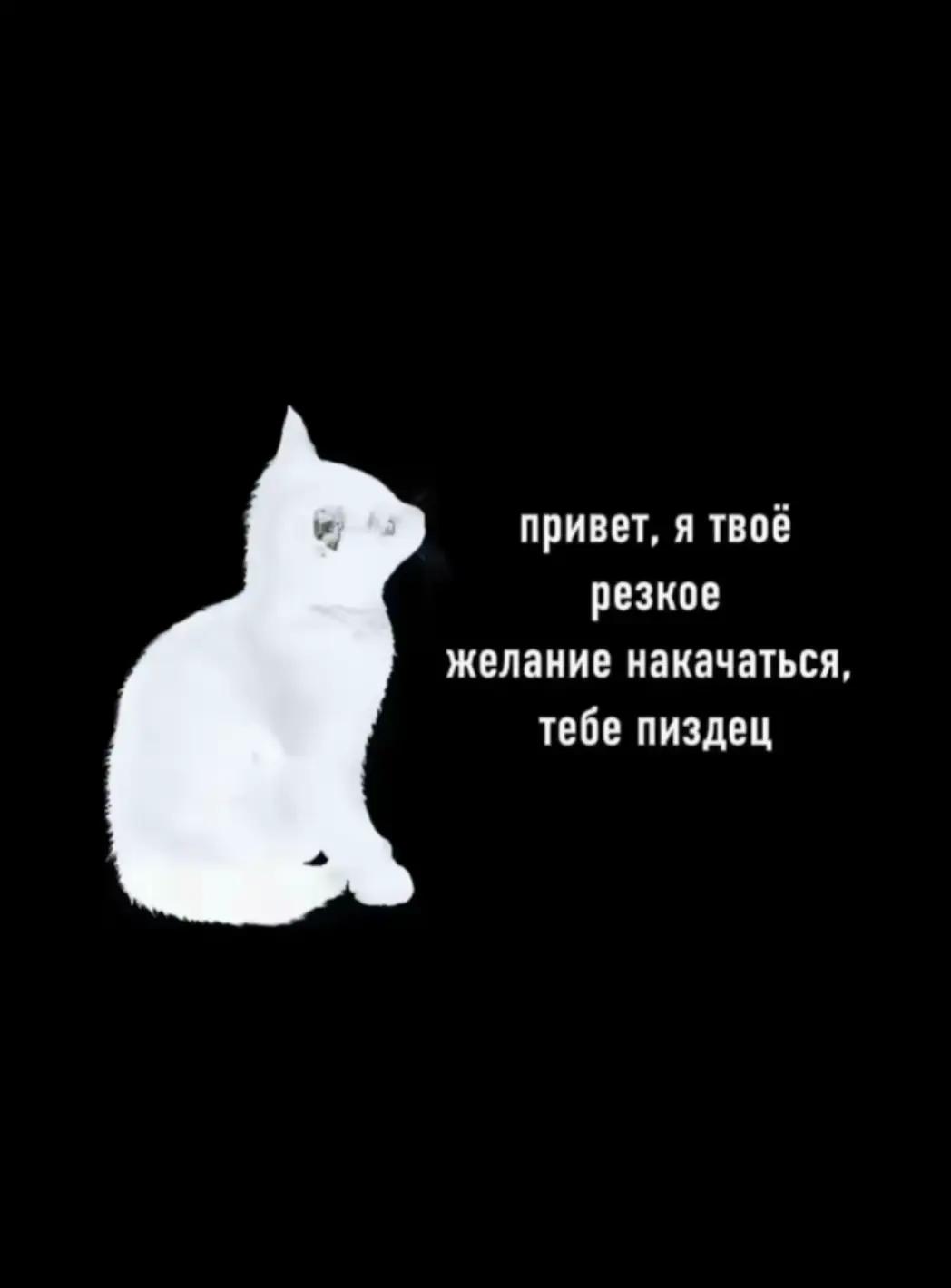 @Drostanolone200