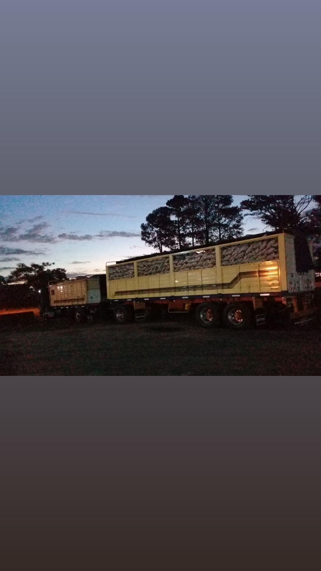@robertolopez1620