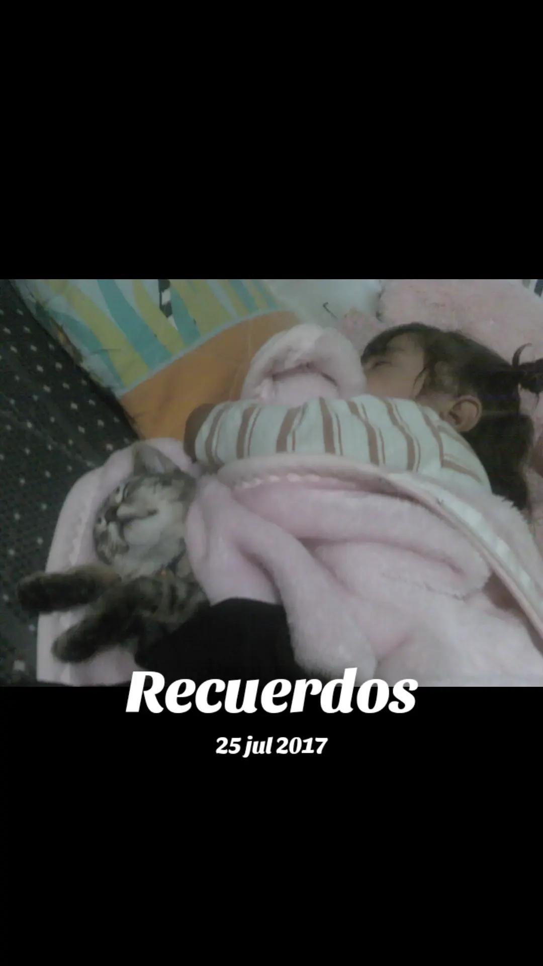 @paubonii