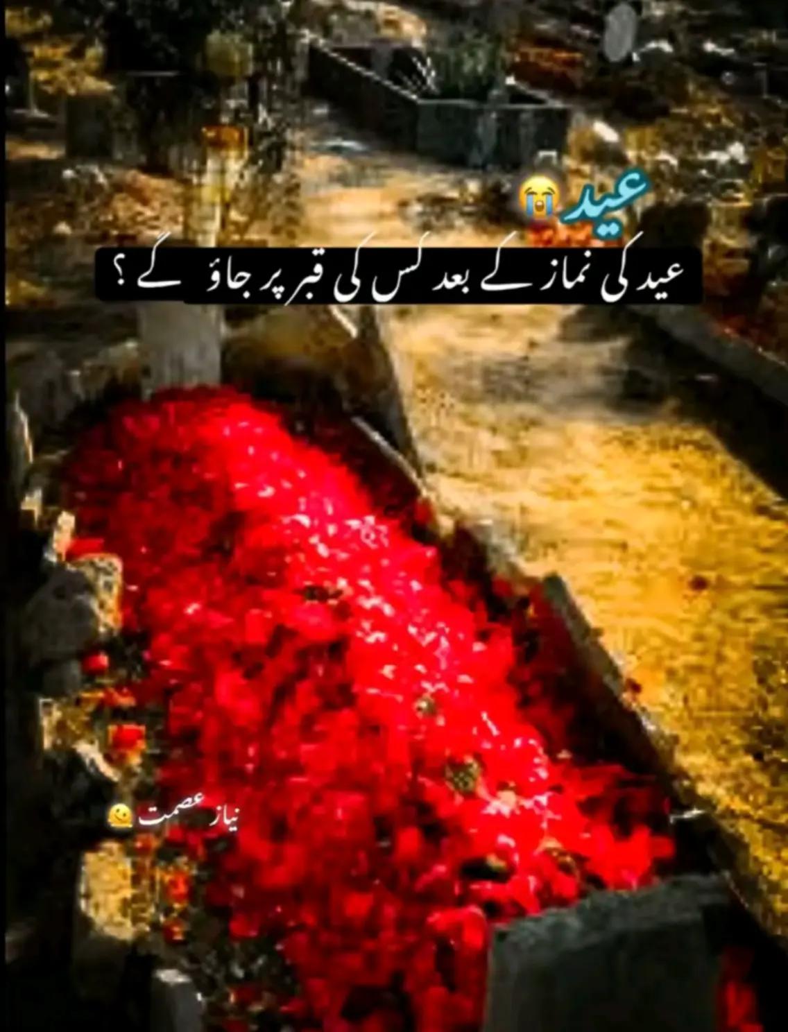 @Ch Usman jutt Poلcia👑