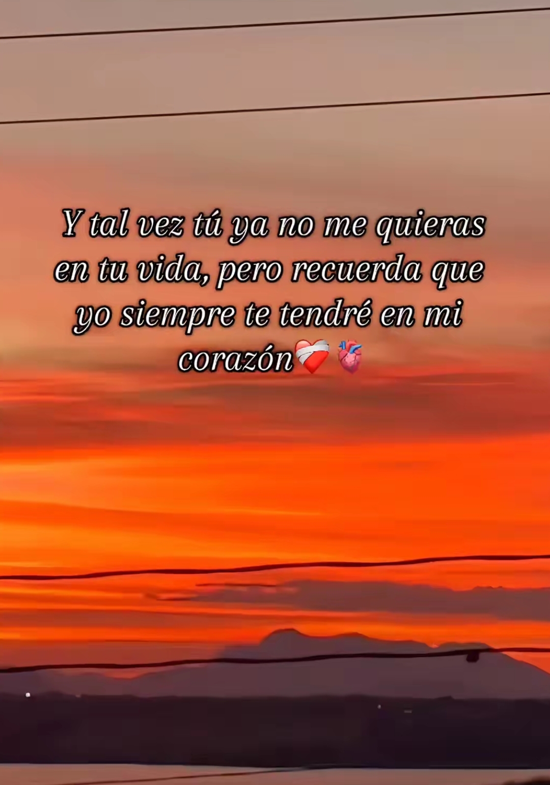 @EL CARNALITO