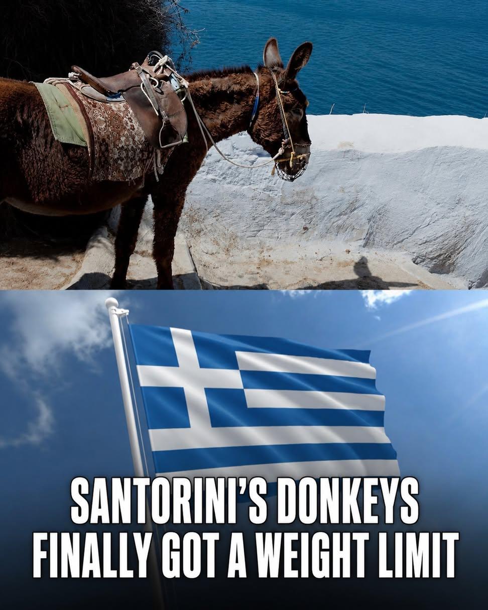 @GAP GREEK AND PROUD 🇬🇷