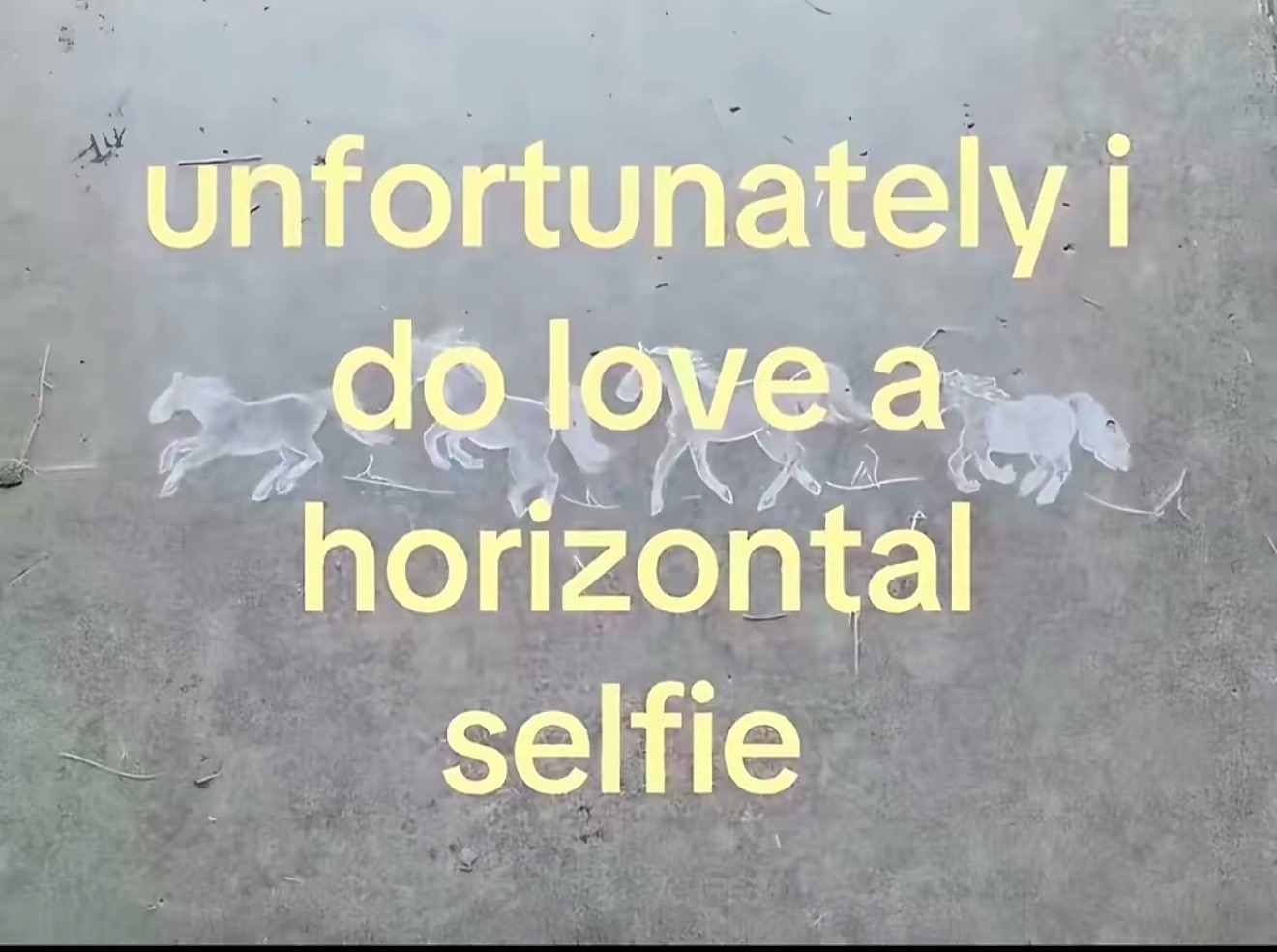 @Ani