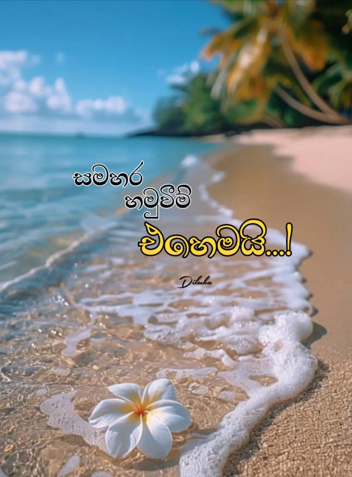 @ディル_𝐃𝐢𝐋𝐔_දිලු.☬👦🍫