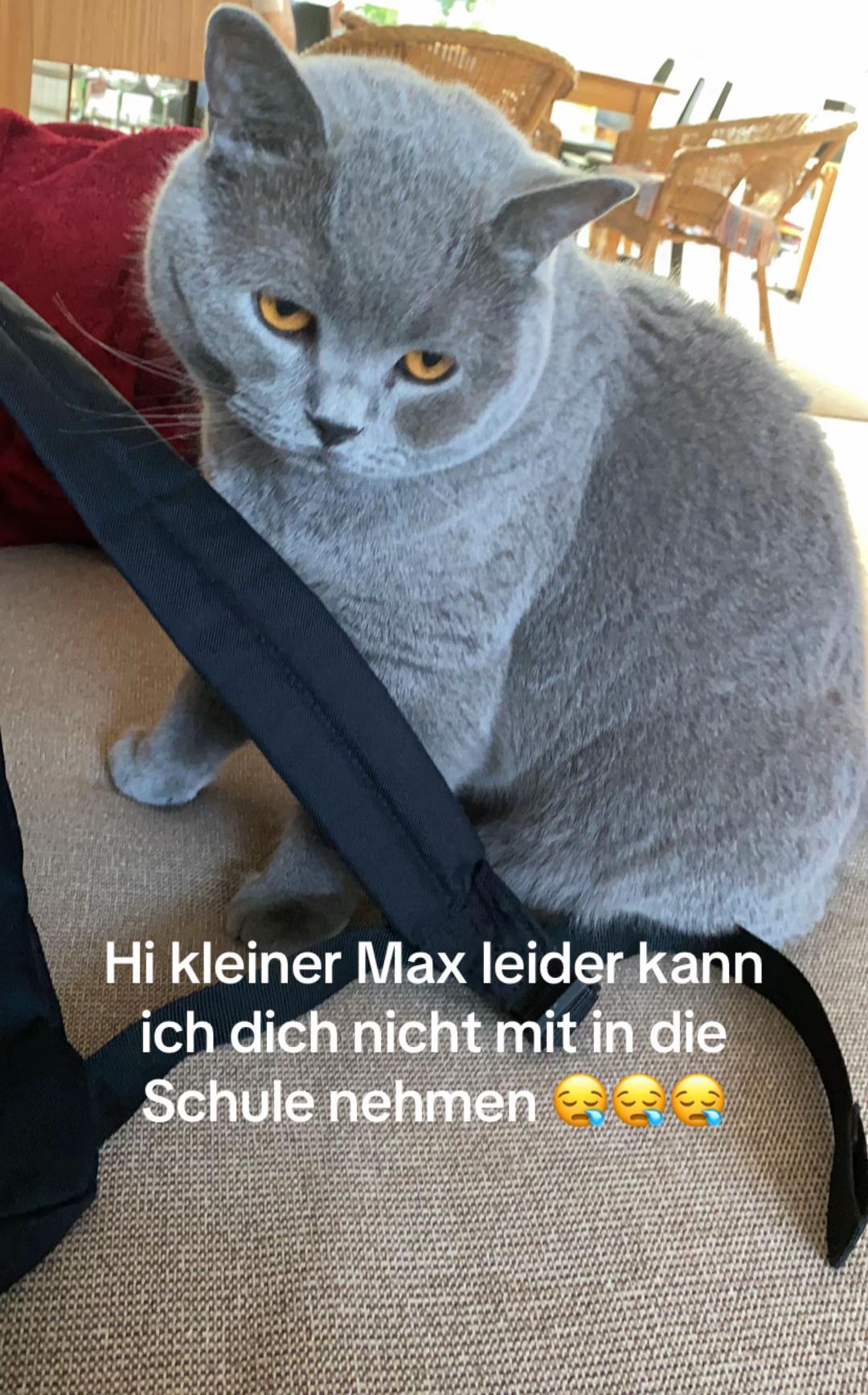 @๐ธ