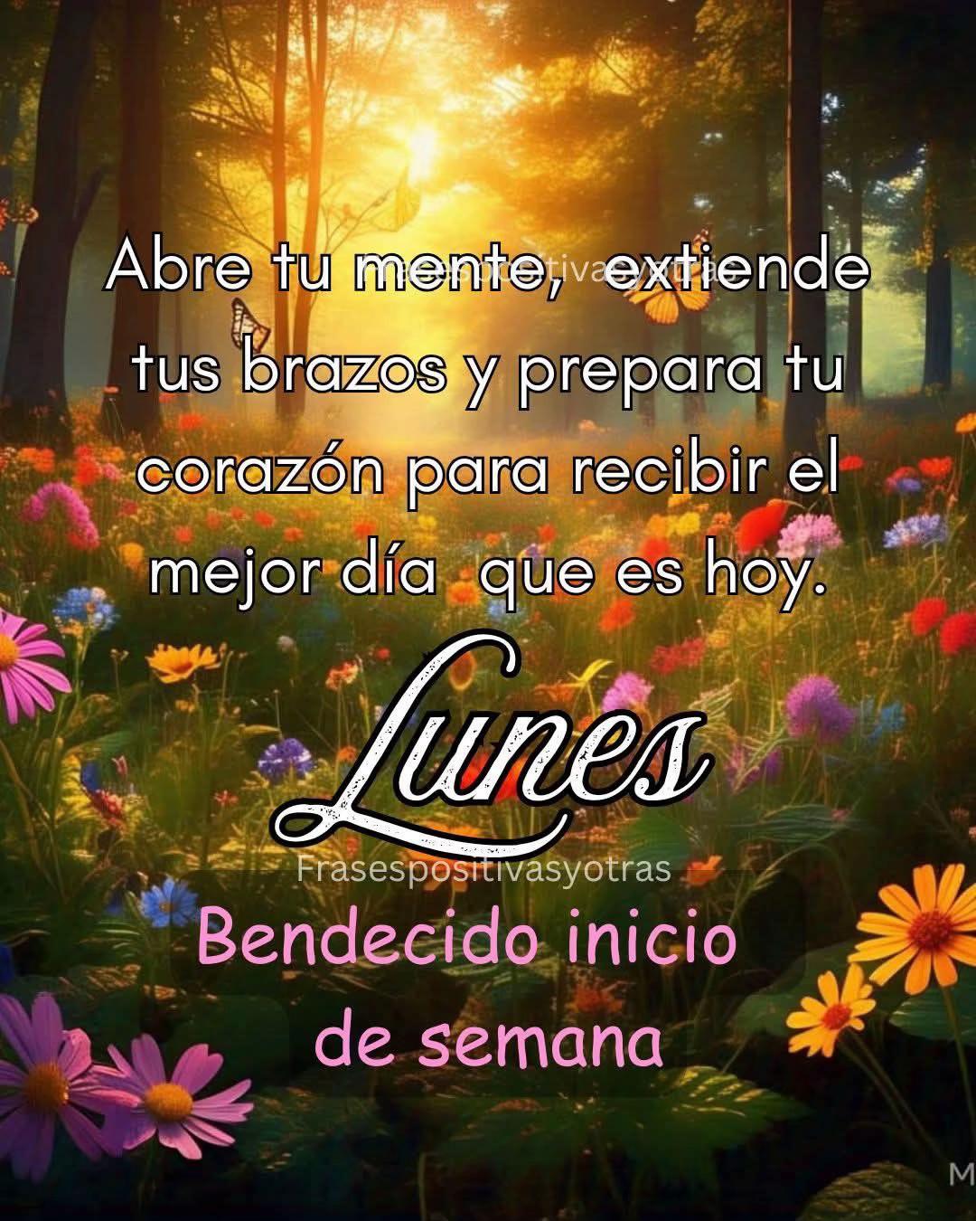 @Luzdedios8888