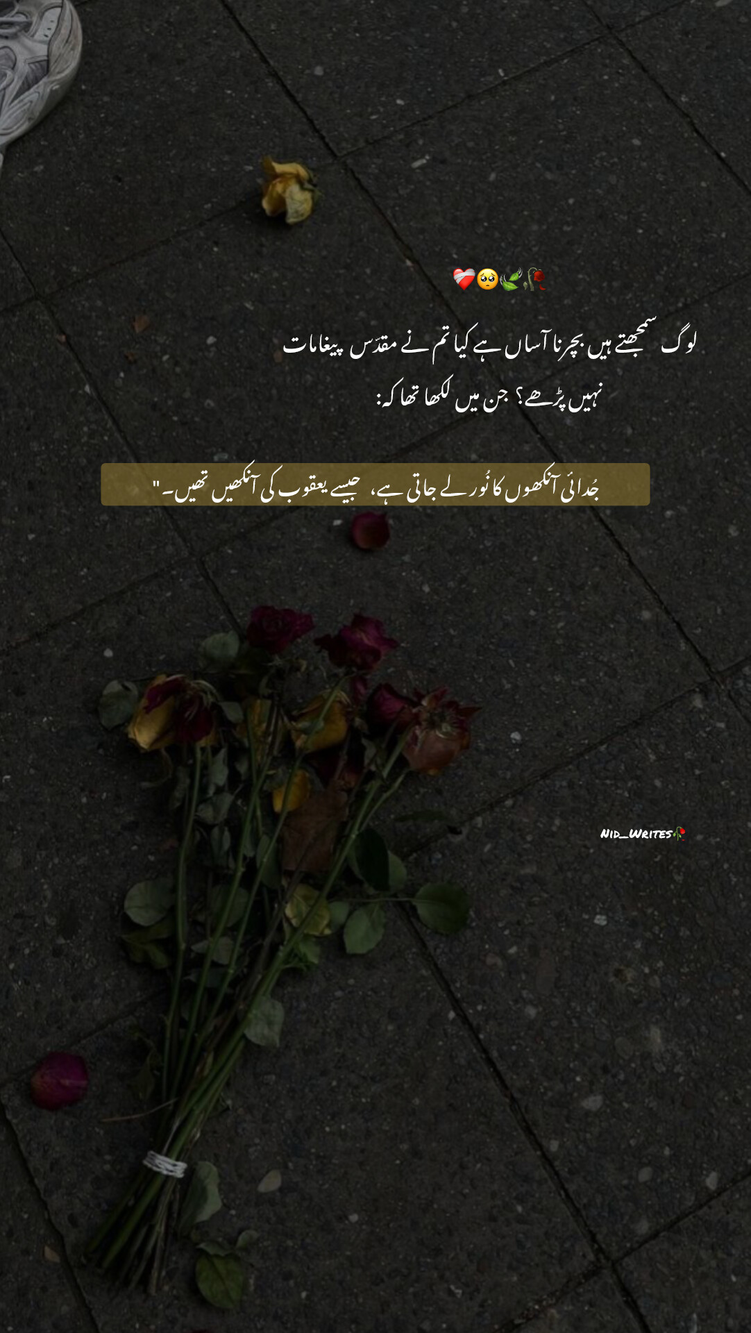 @ɪᴛ's ᴍᴇ ɴɪᴅ🧚♀️