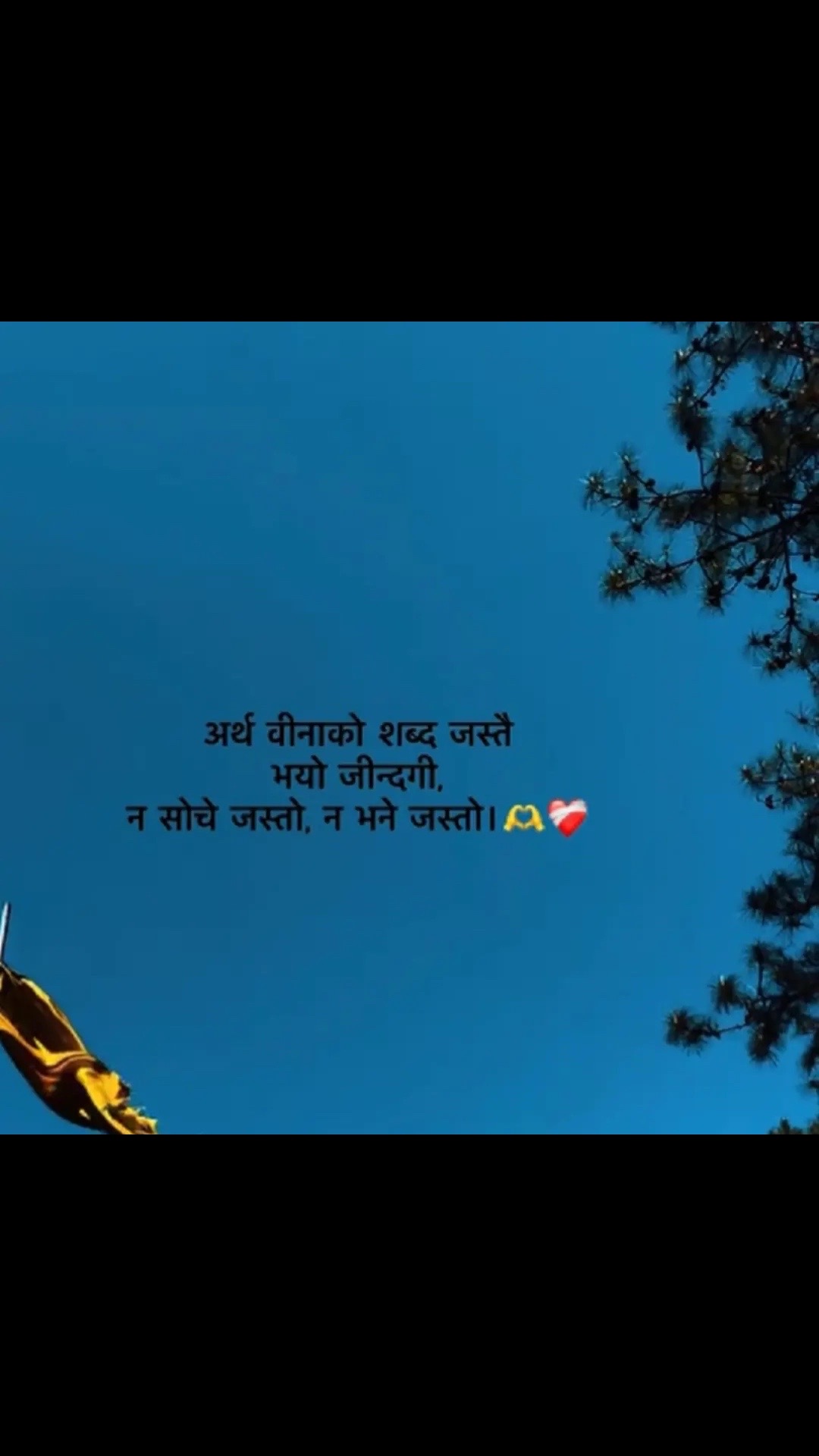 @भारति 🌸❤️🩹🦋