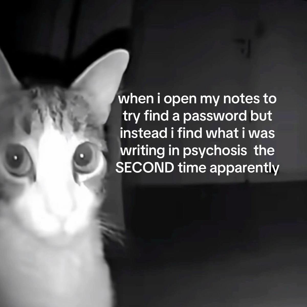 @🪽