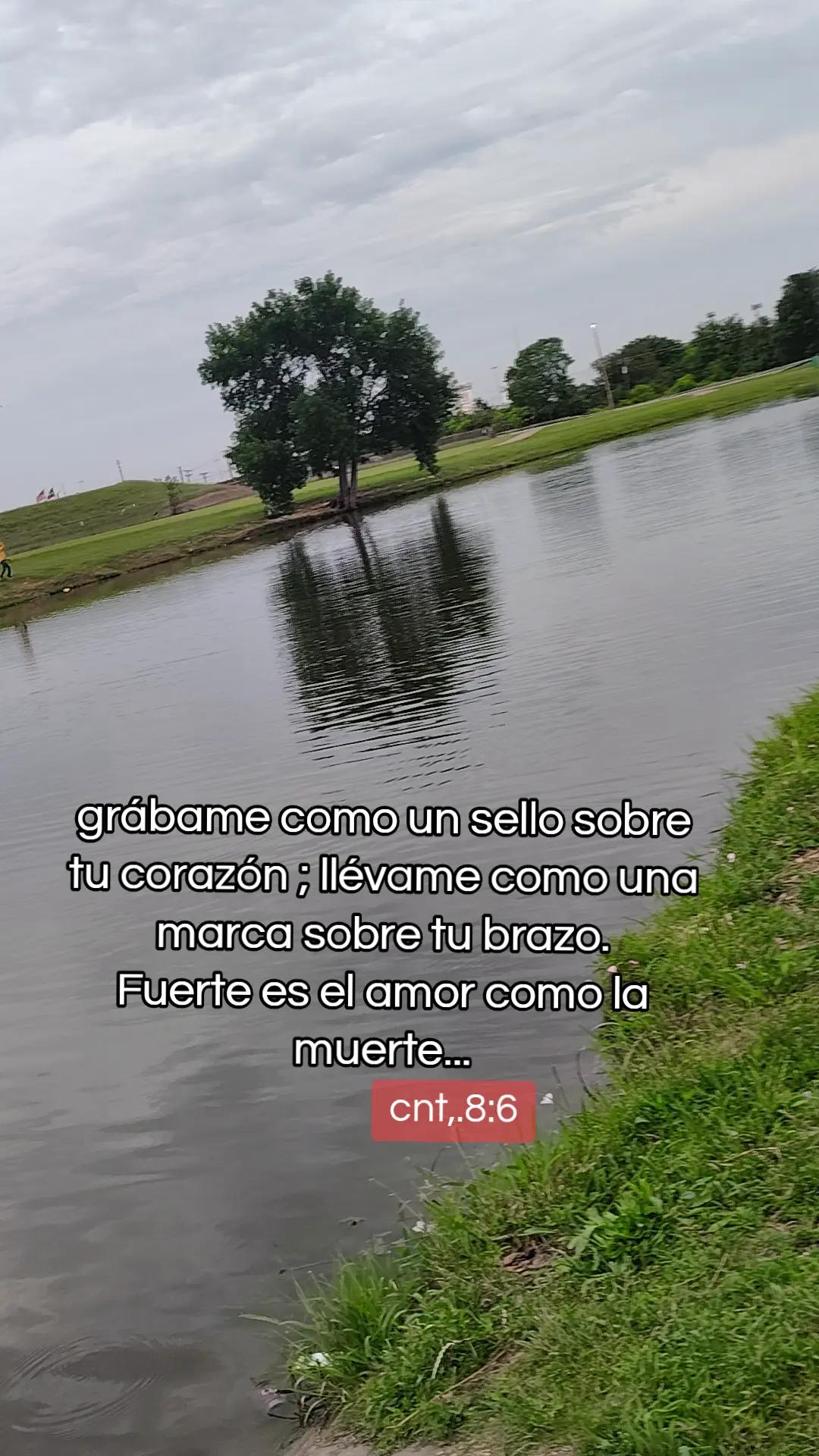 @Maria Moreno Ruiz