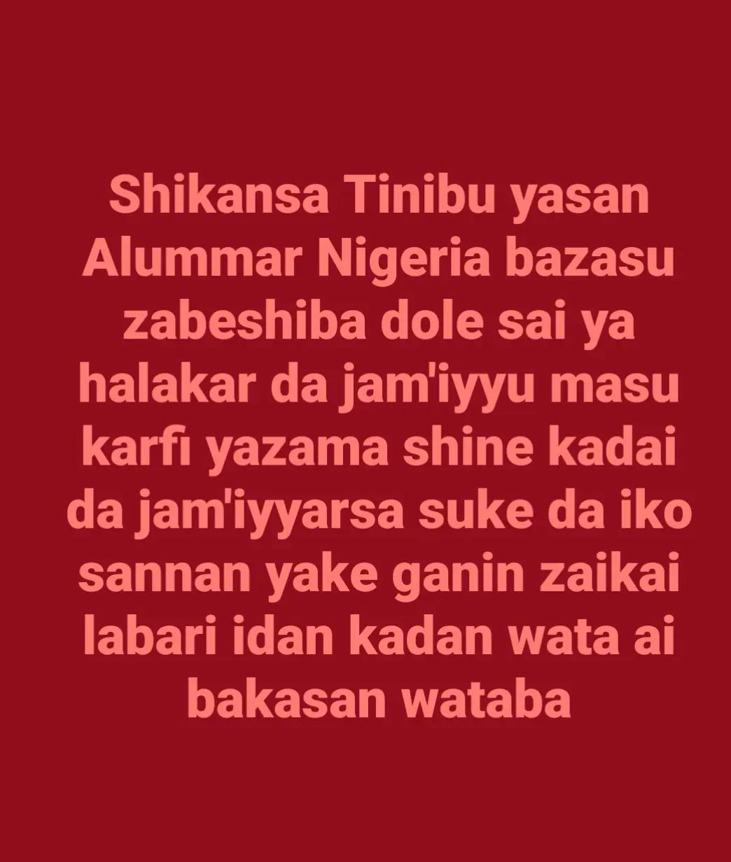 @Amb. Nura_Nitel
