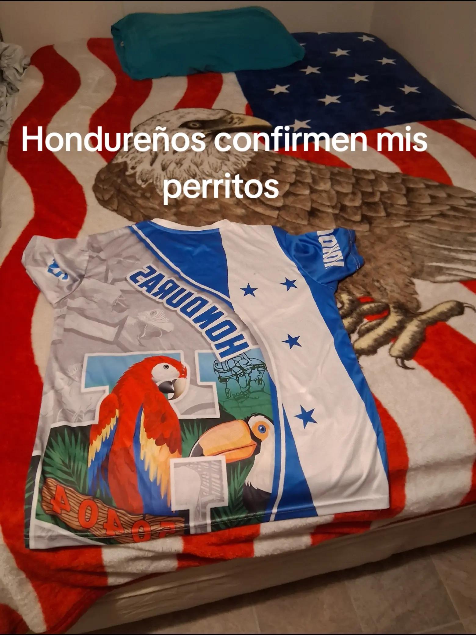 @noelito2317🦎