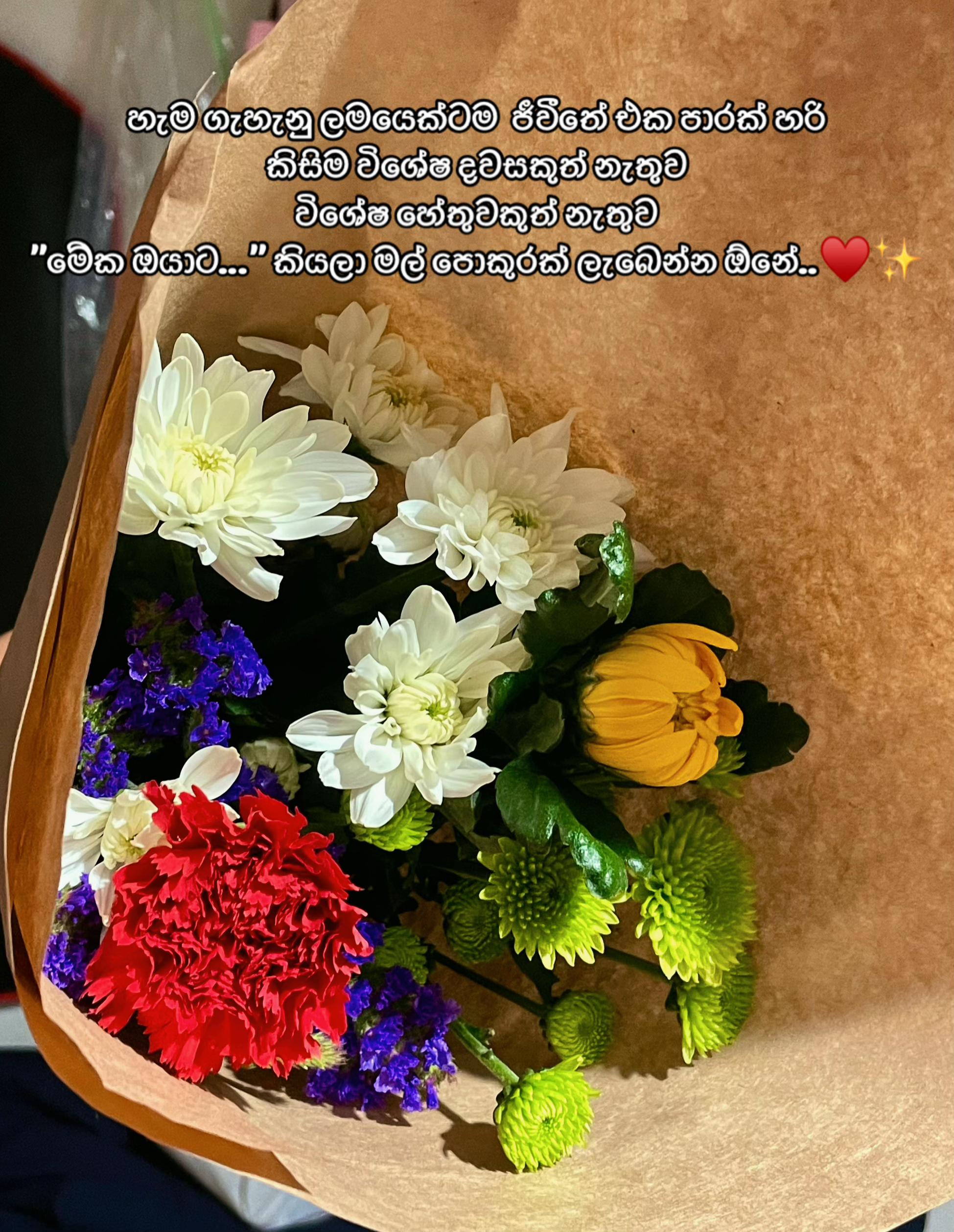 @ʀ ᴀ ꜱ ʜ 🇱🇰