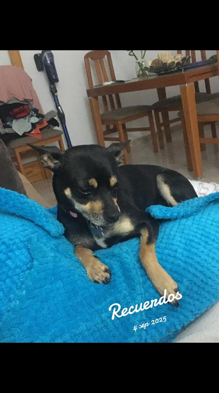 @AntoCM💕