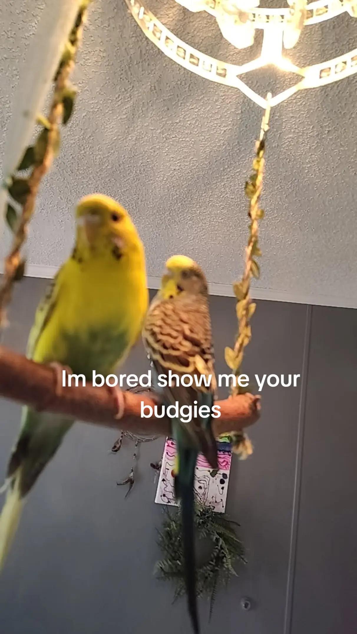 @𓇼Madzzz𓆉