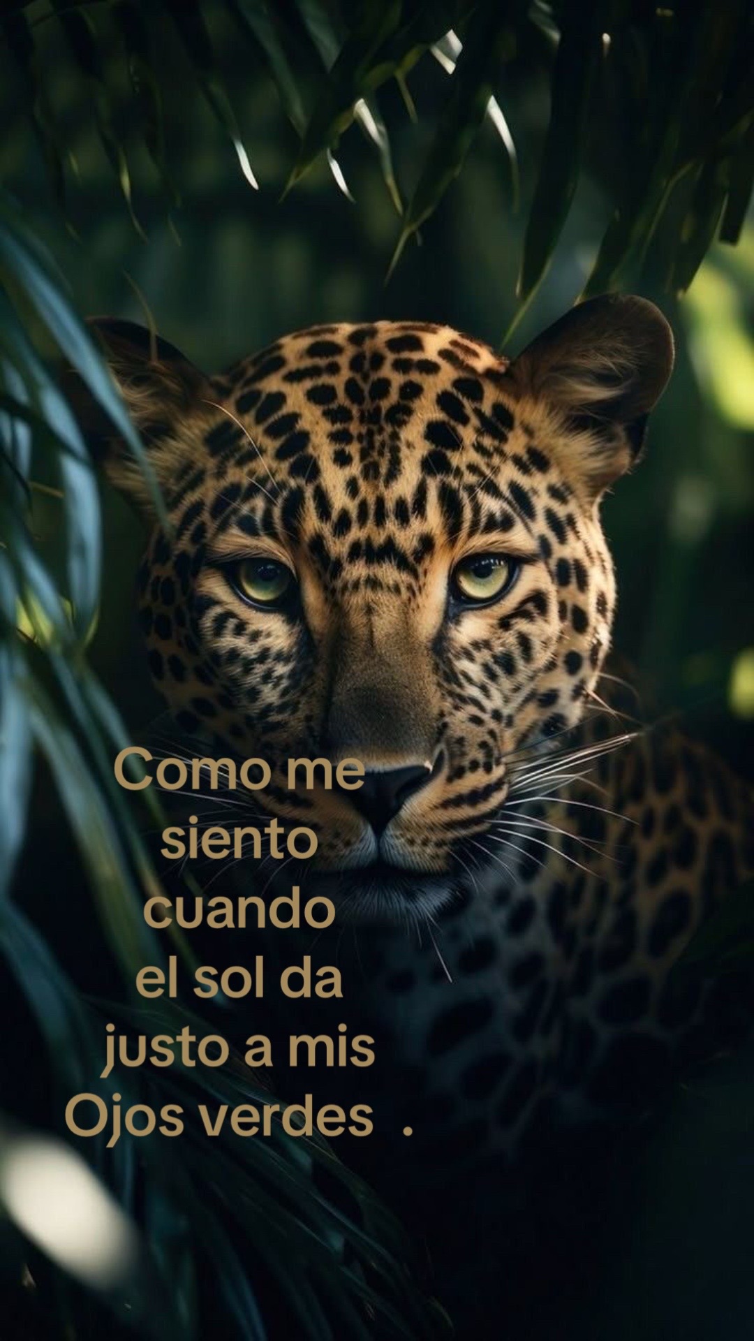 @Fati💕