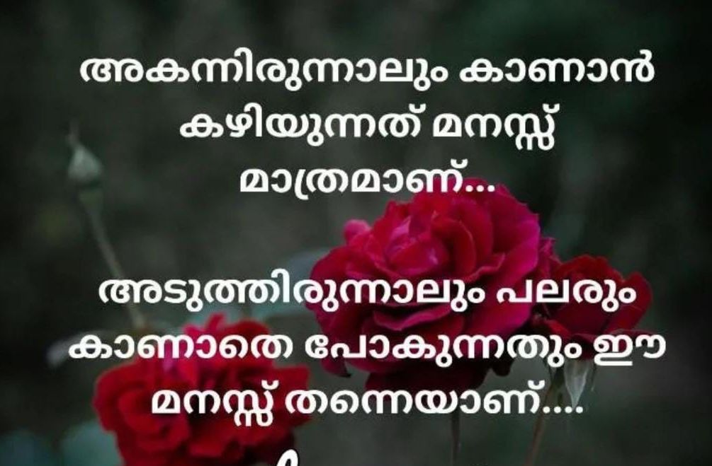 @ponus. 20