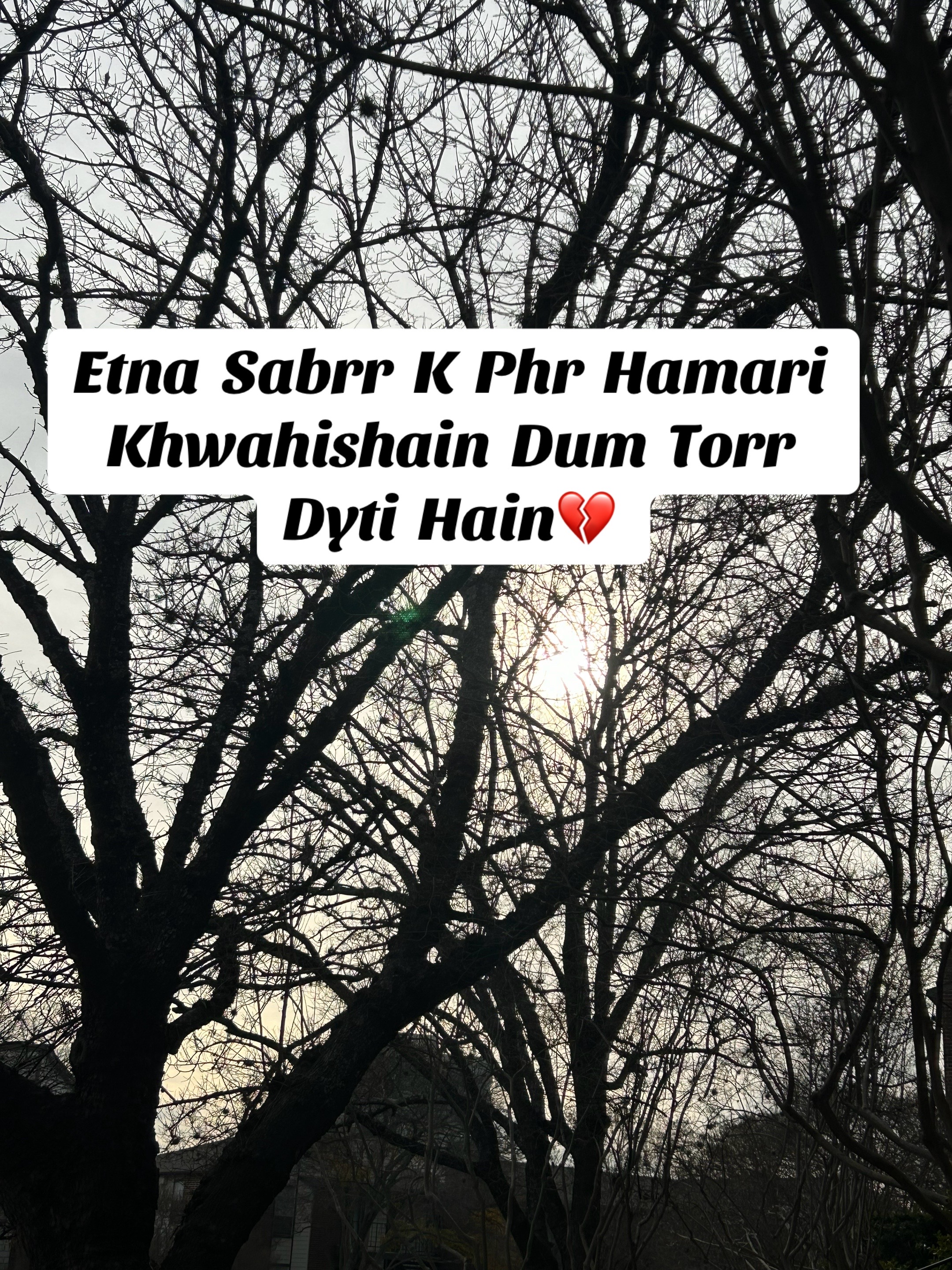 @ZaraHayat020104
