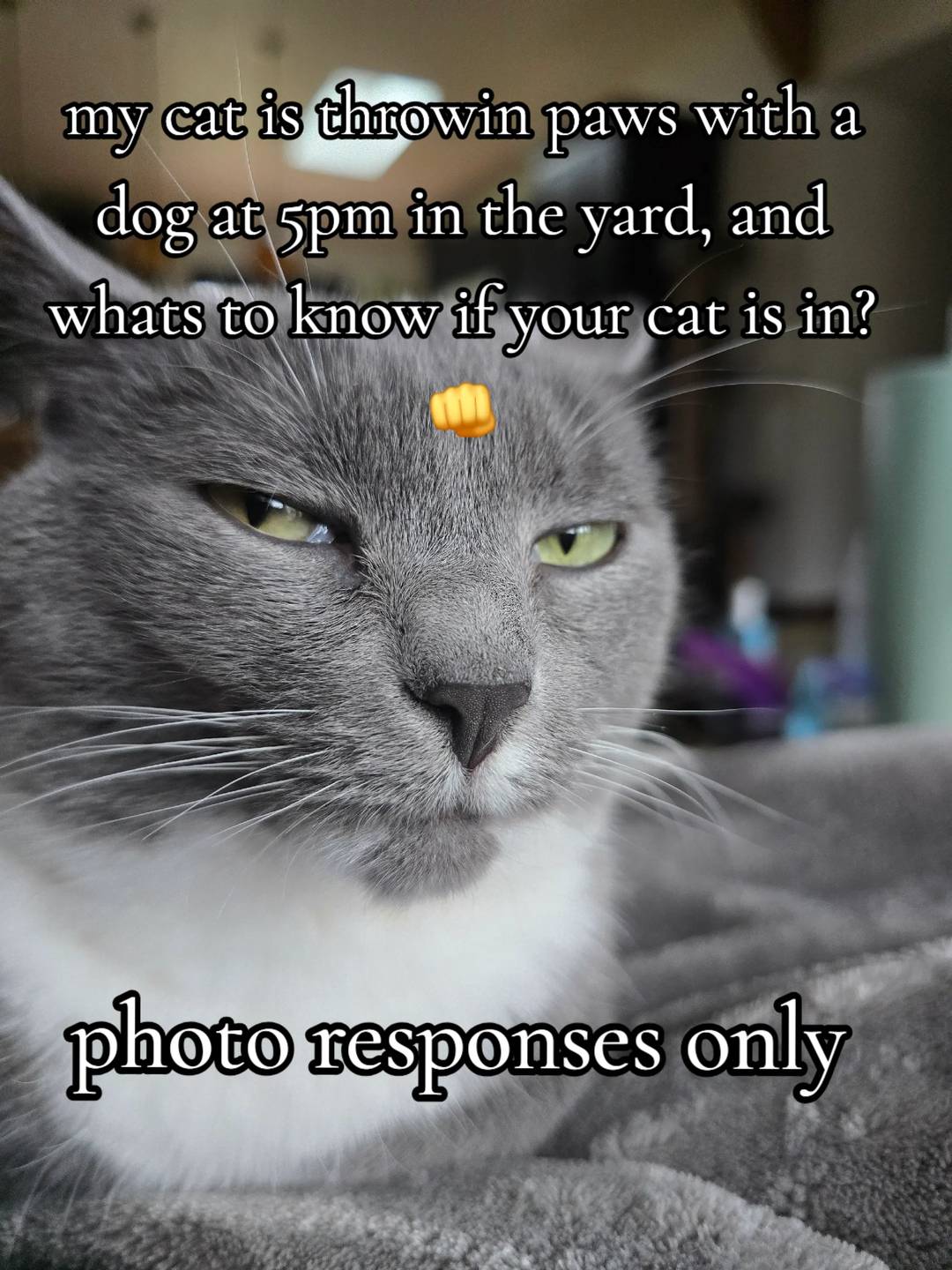 @𝓚𝓪𝓽 𝓦𝓱𝓮𝓮𝓵𝓮𝓻🐈&zwj;⬛