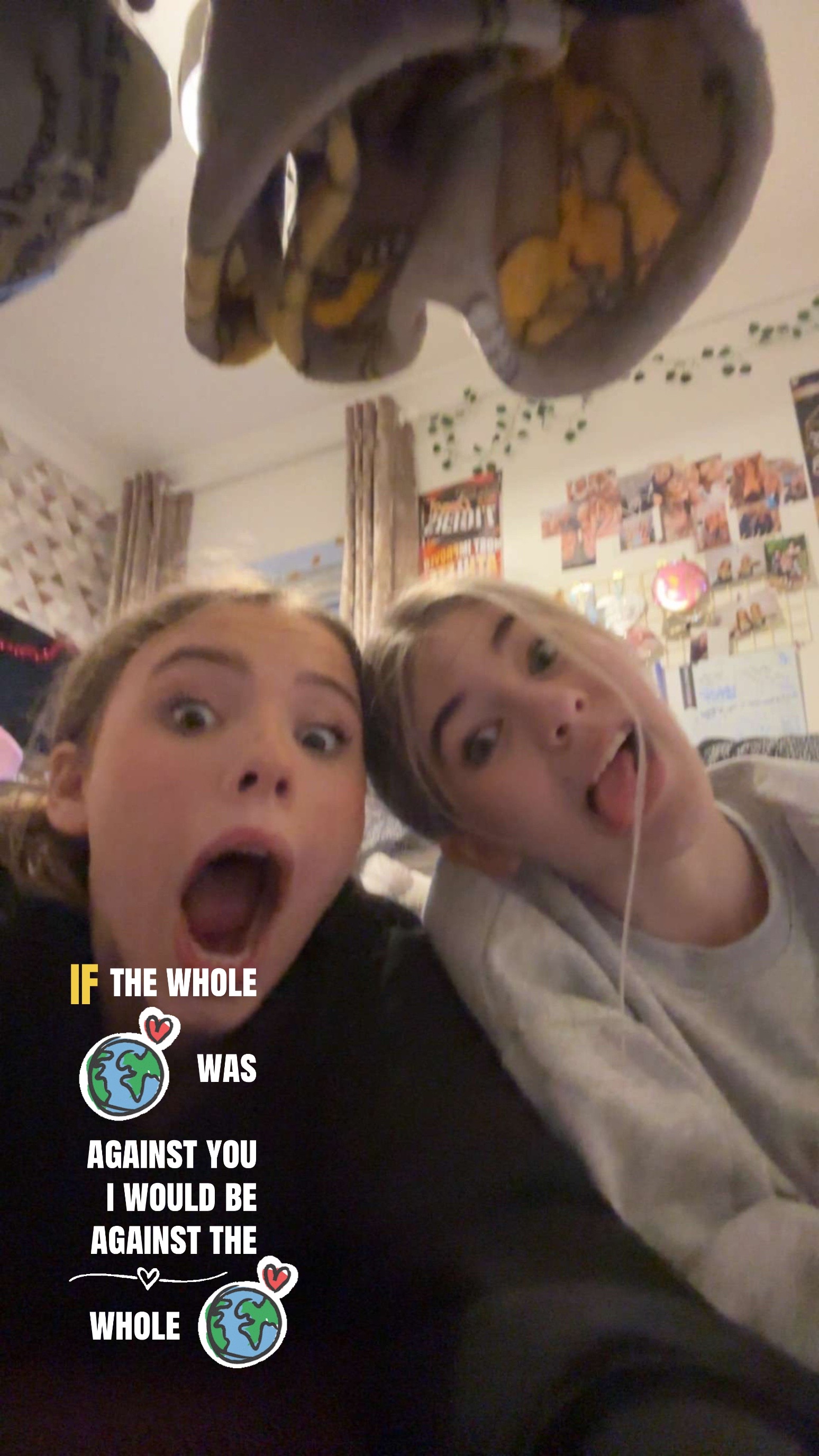 @laylxmain14