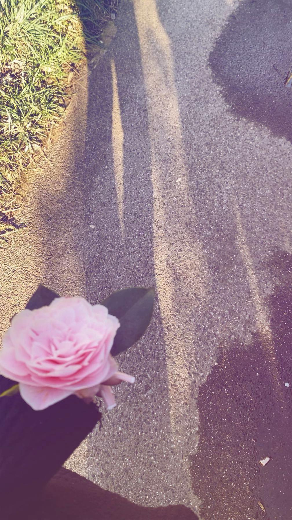 @𝓘𝓵𝓪𝓻𝓲𝓪
