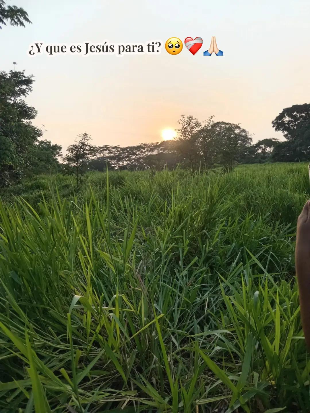 @𝓧𝓹𝓵🤍