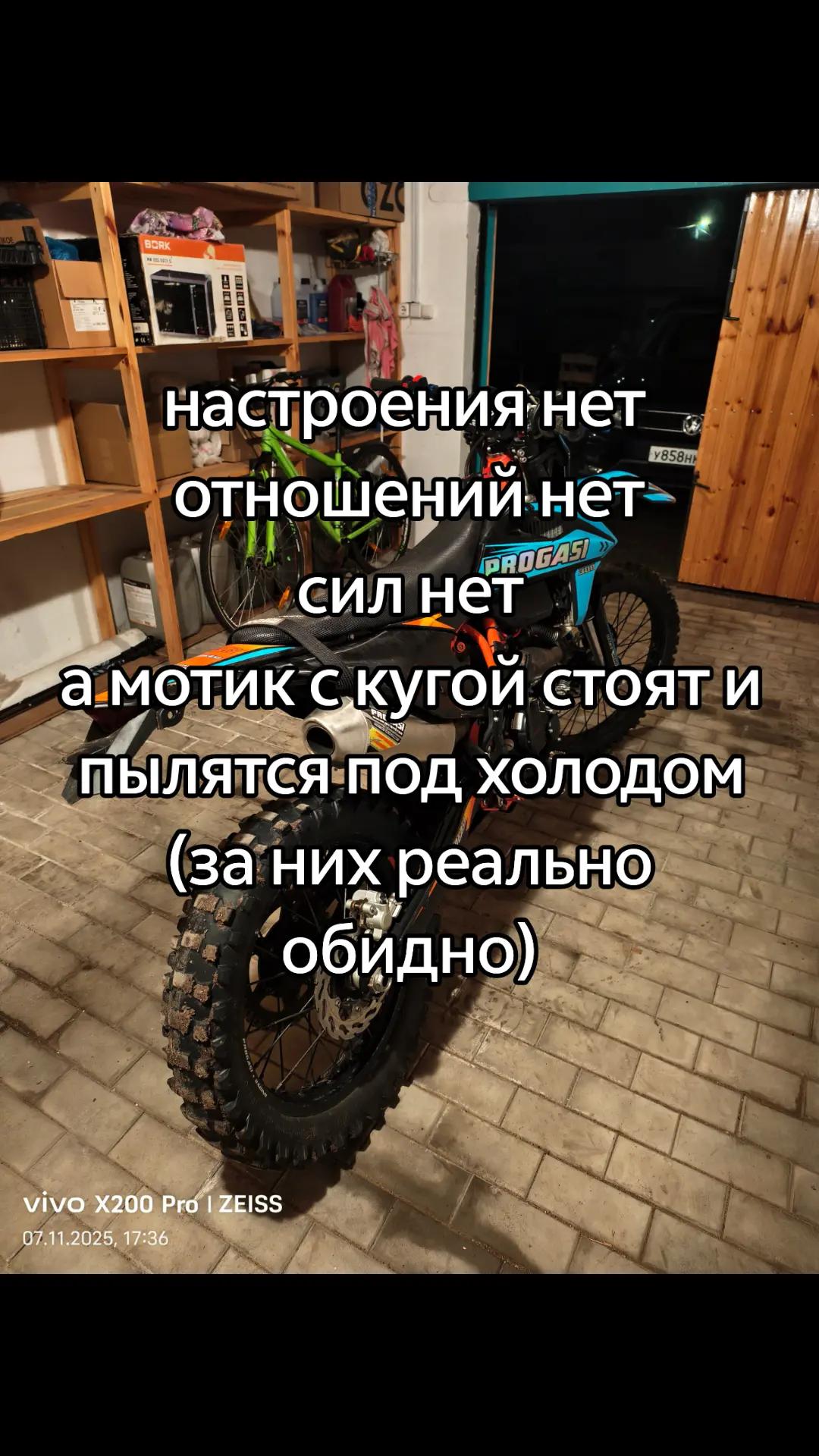 @казанский леопард