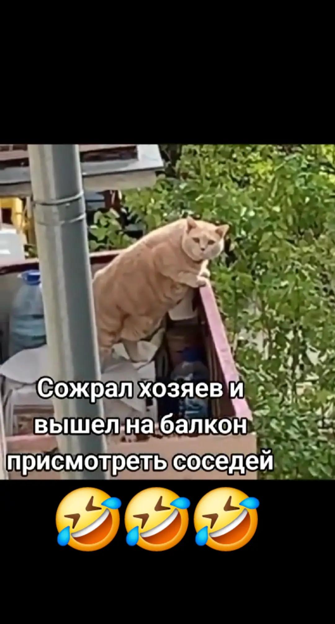 @ТИХИЙ