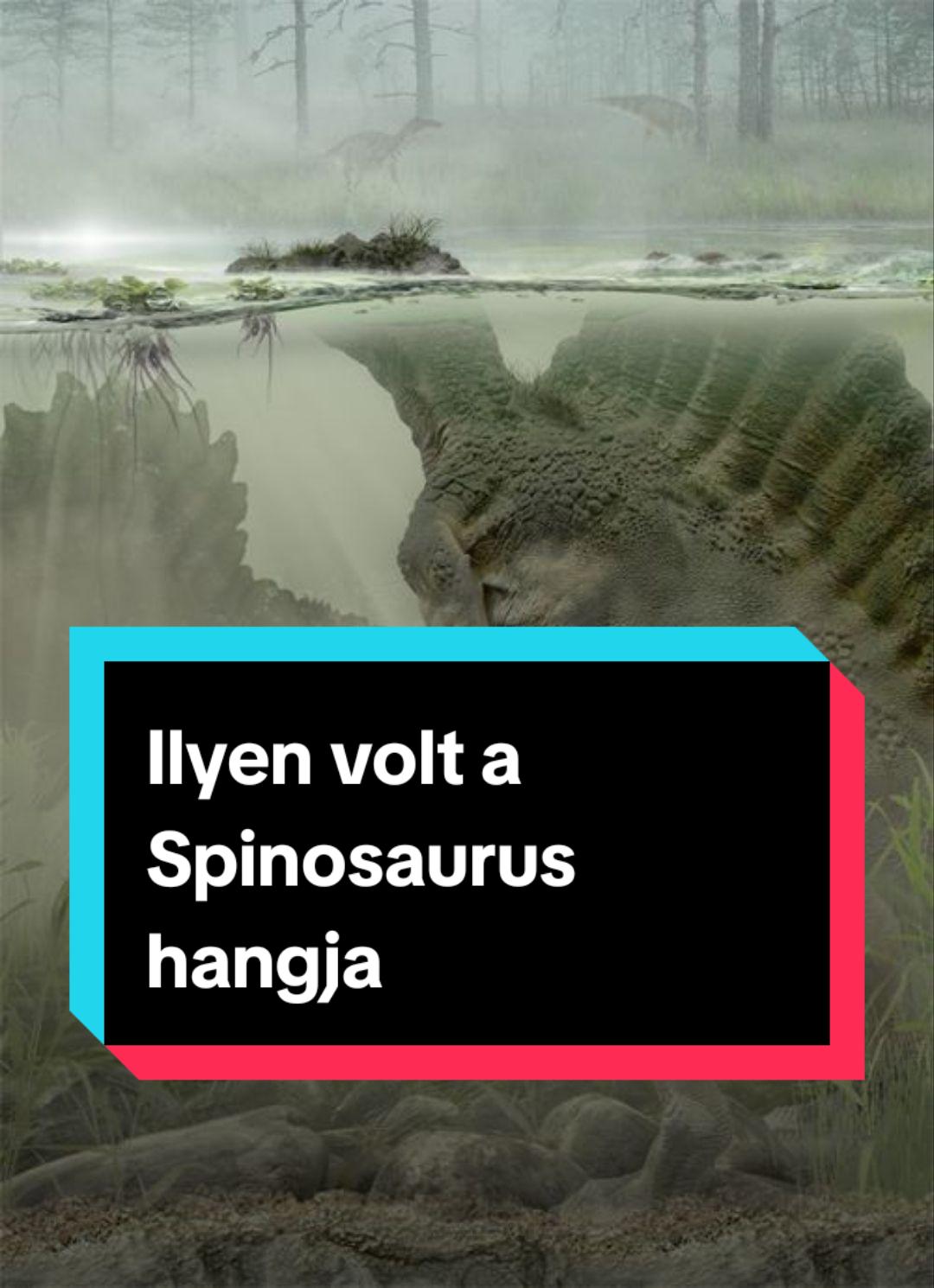 @HírHullám ✔