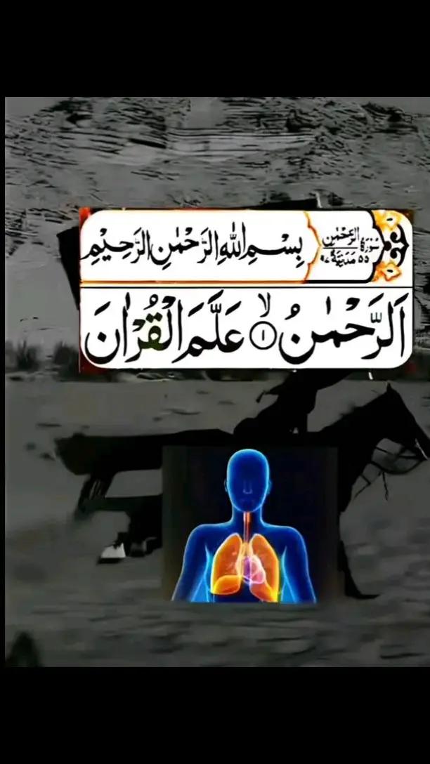 @M Aftab Yaqoob