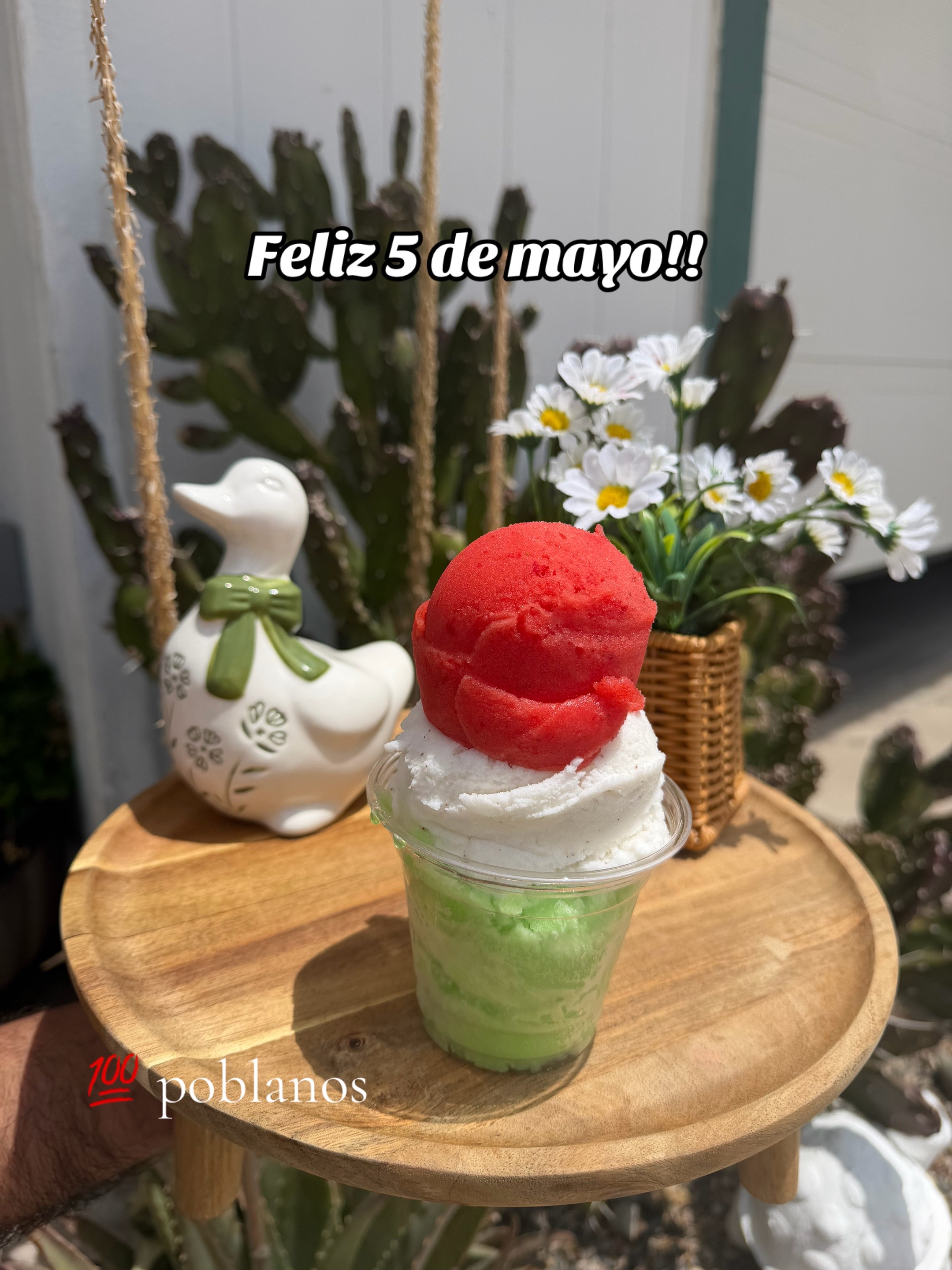 @Arelly Ramírez Ganzo’s nieves