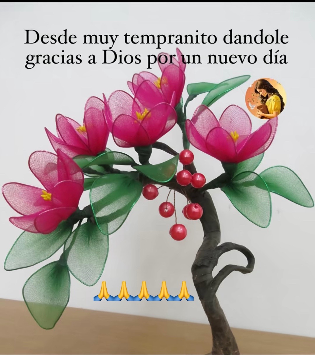 @Keily funes