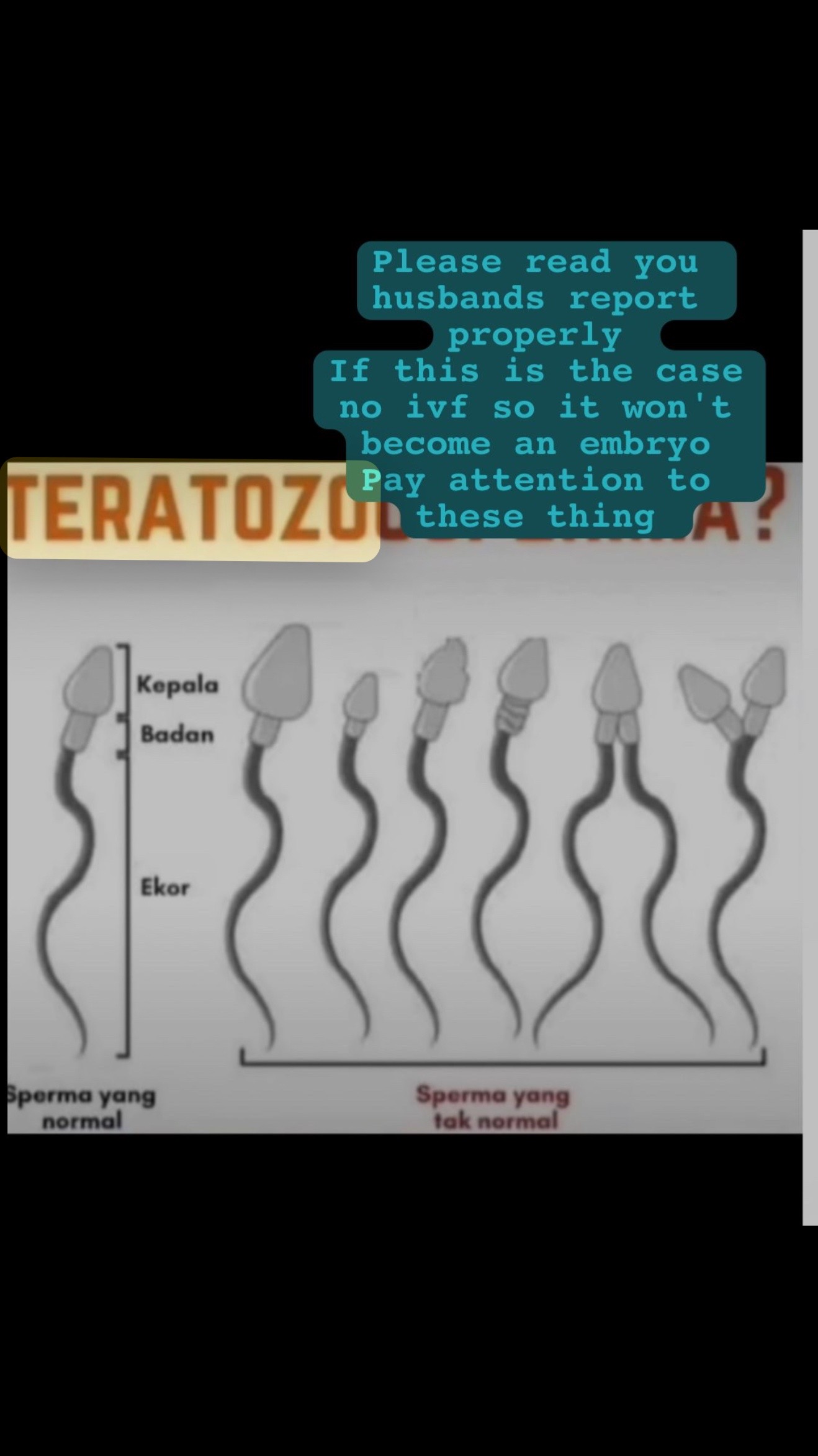 @Dr Aisha Lakhwani fertility
