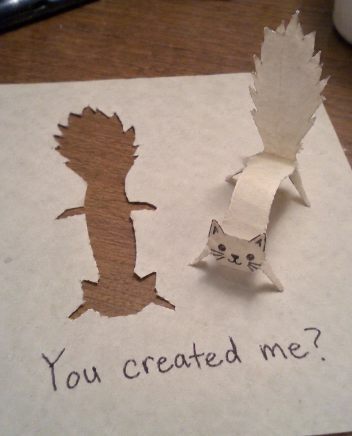 @cat memes