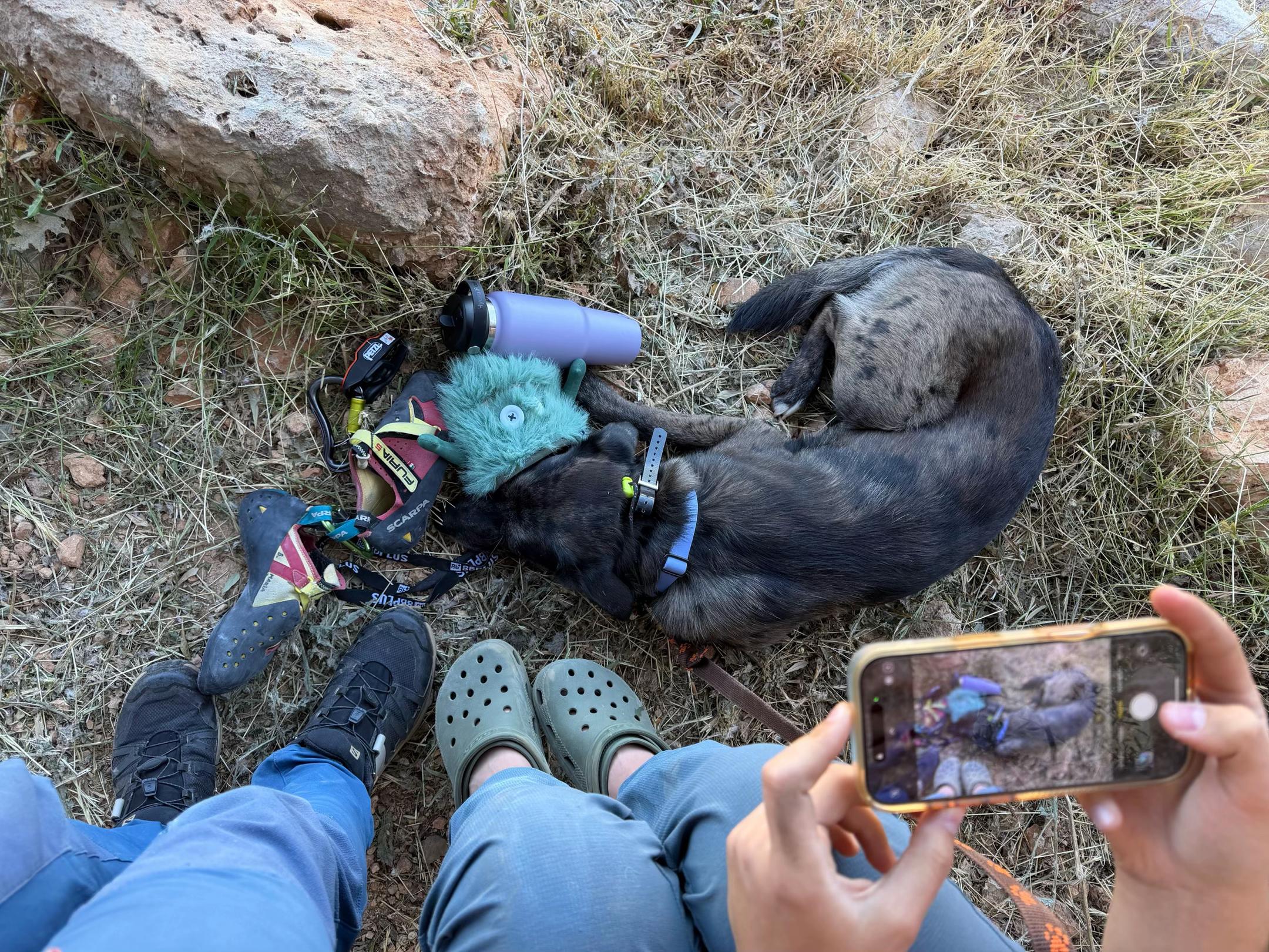 @girlwith.thecatahoula