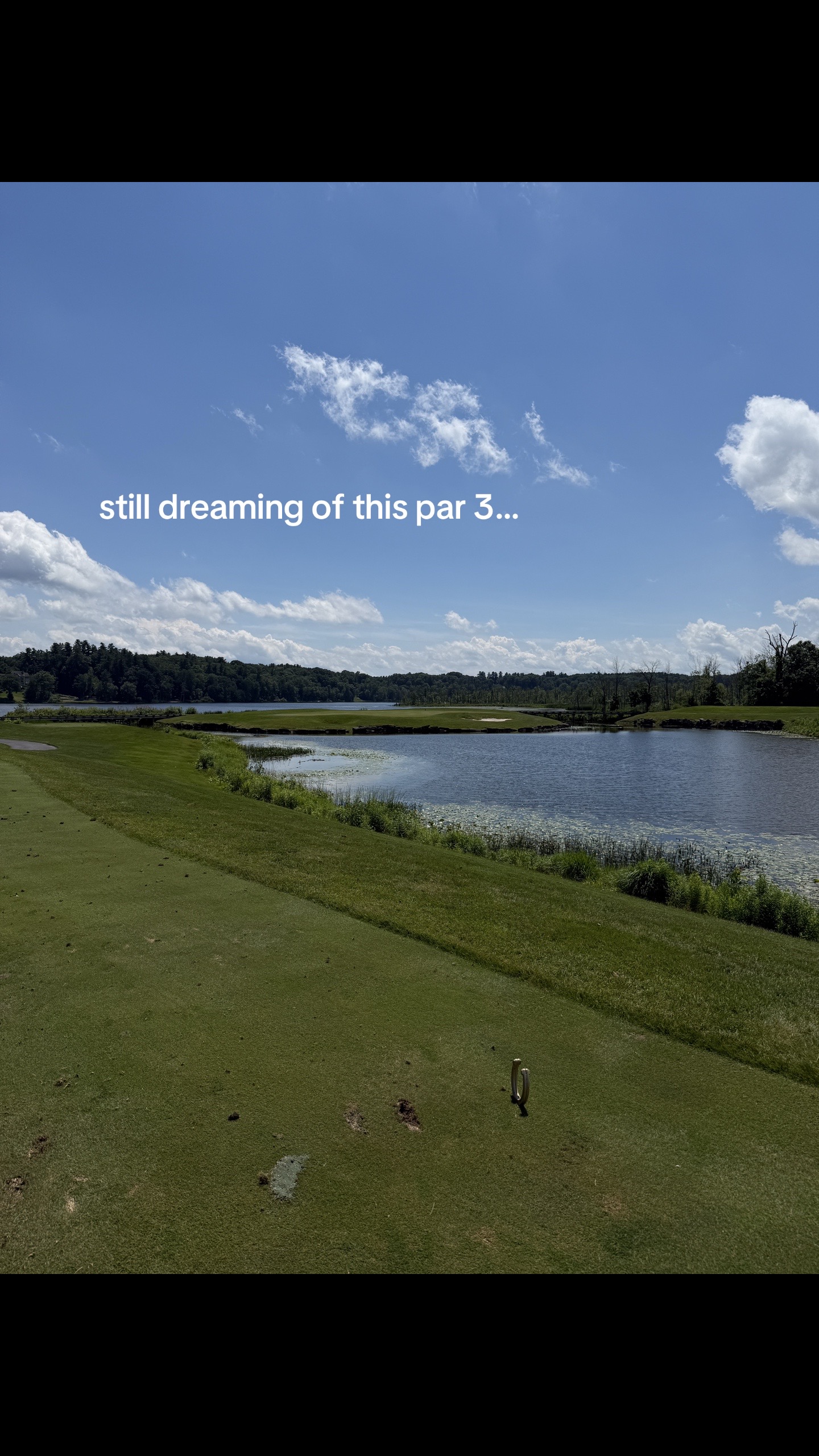 @colecuzzi.golfs