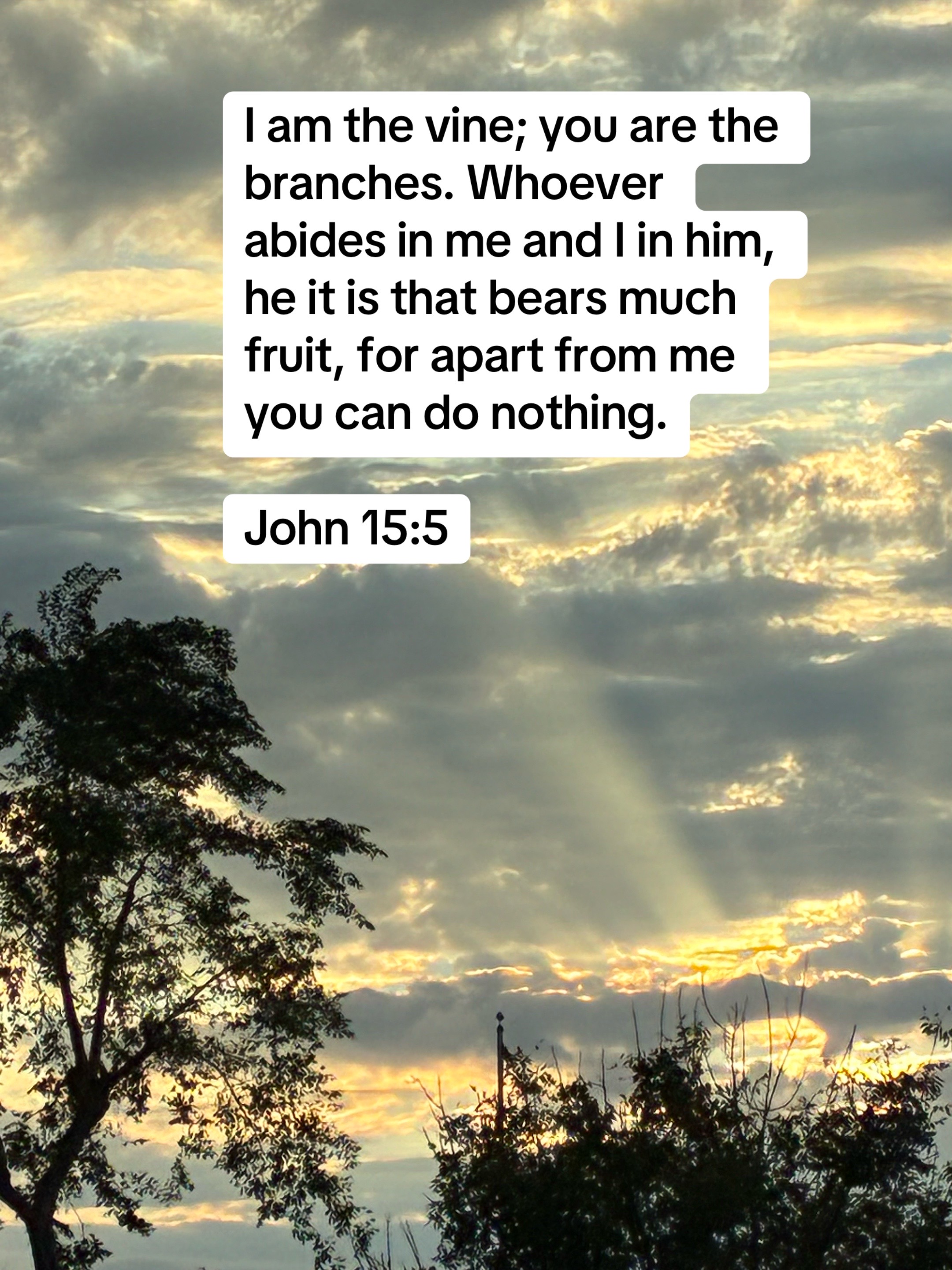 @forgiven_disciple