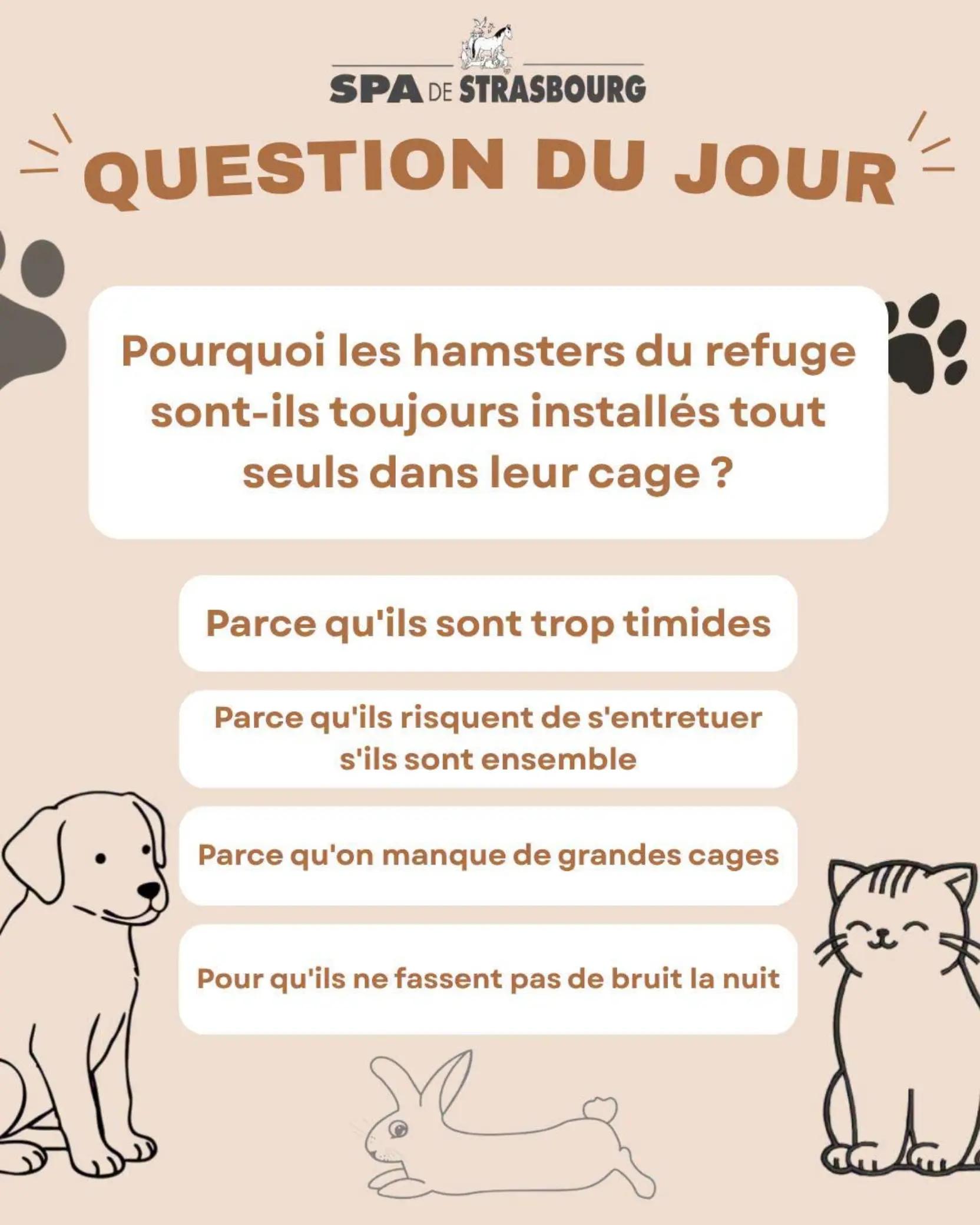 @spa_strasbourg
