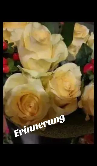 @👑Rosa👑🇩🇪