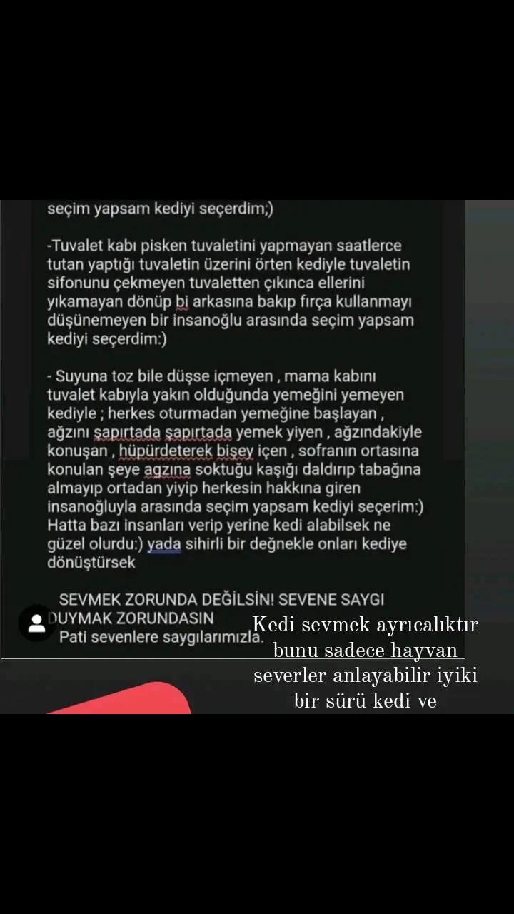 @meltem aptullah