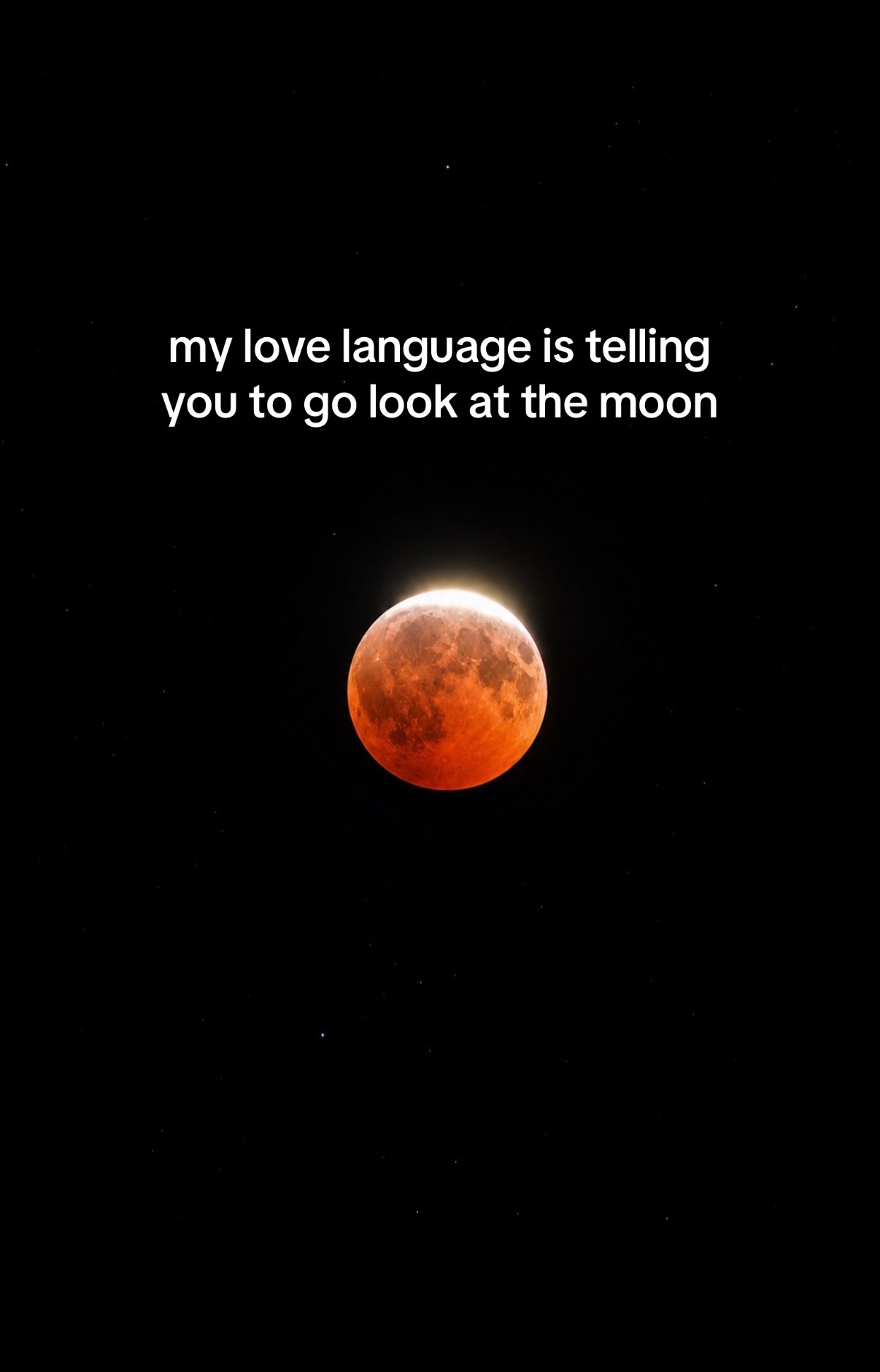 @sydney.elizabeth