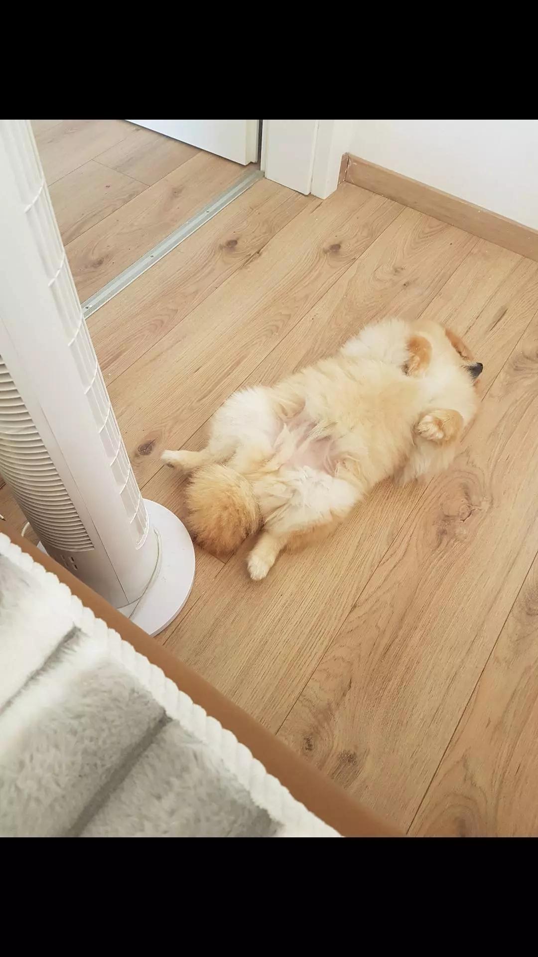 @r_e_n_a_t_e1