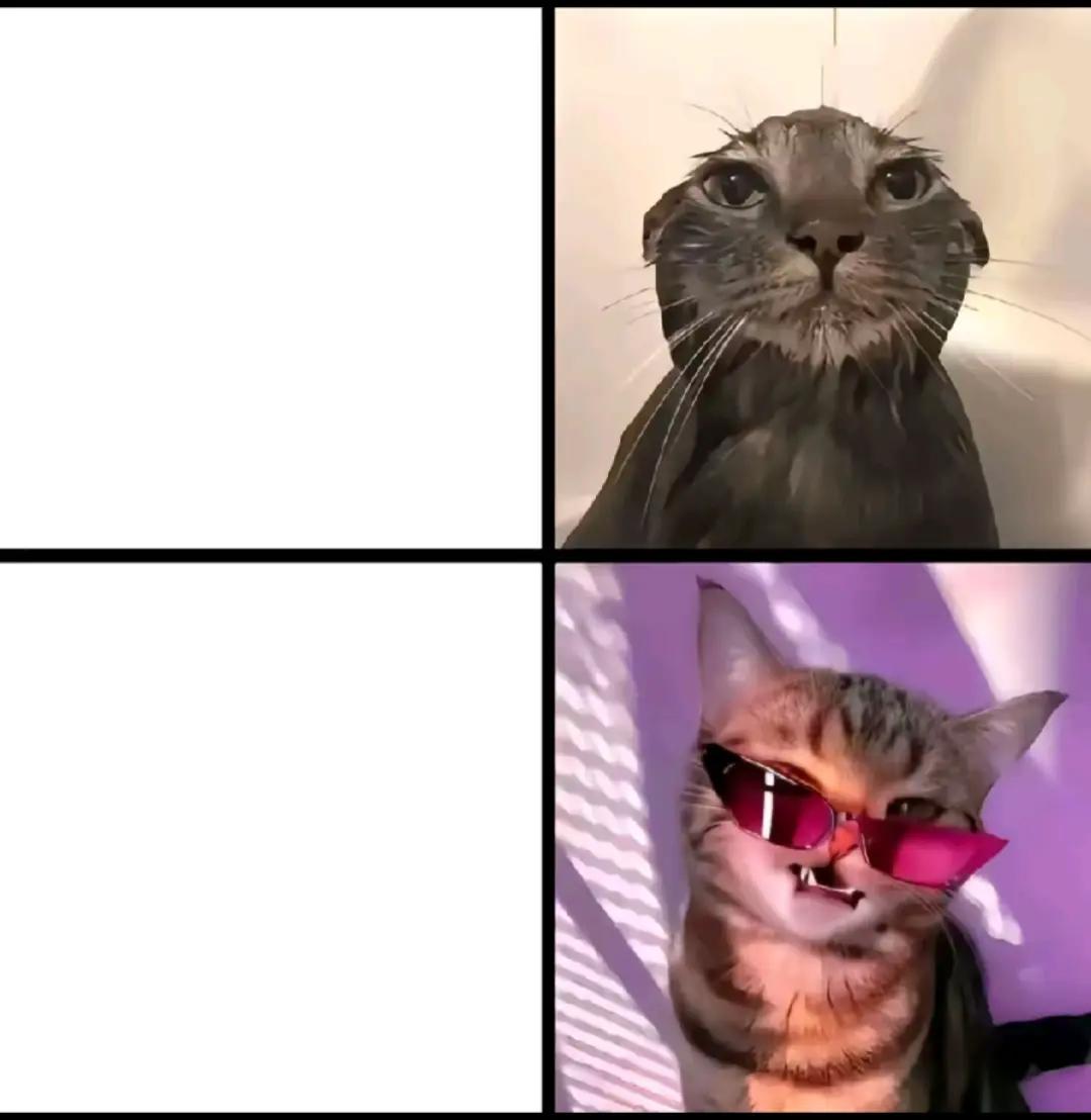@Torcik