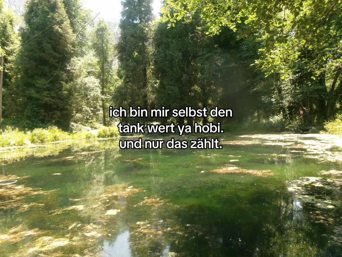 @blendertuse