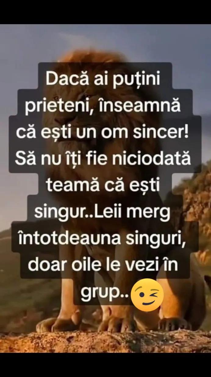 @💸💰🎭- ᴿᴱᴮᴱᴸᴳᴵᴿᴸ -🎭💰💸