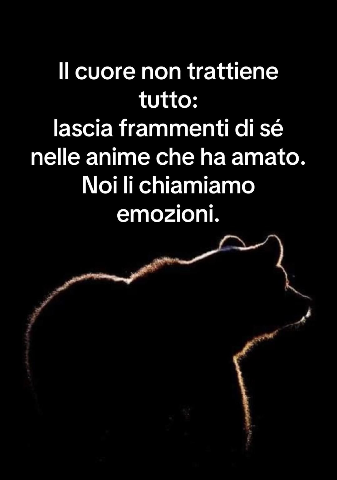 @Orsetto
