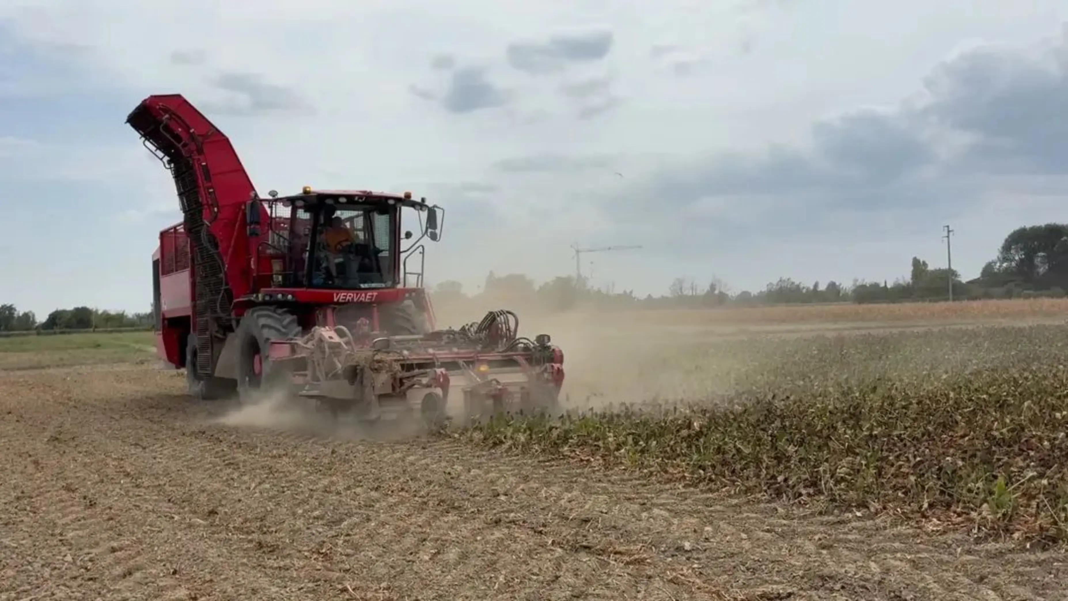 @TEO93.AGROTECH